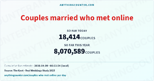 AnythingCounter landscape card example: couples who met online and married (share or download as image export)